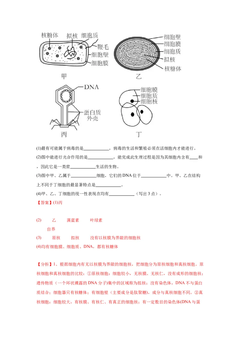 专题1走近细胞（解析版)_2024年新高考资料_3.2024专项复习_备战2024年高考生物一轮复习重难点专项突破_专题01走近细胞-备战2024年高考生物一轮复习重难点专项突破