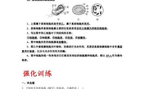 专题1走近细胞（解析版)_2024年新高考资料_3.2024专项复习_备战2024年高考生物一轮复习重难点专项突破_专题01走近细胞-备战2024年高考生物一轮复习重难点专项突破