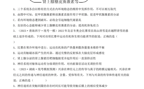 专题10稳态与生命活动的调节（包含神经、体液调节）（原卷版）_2024年新高考资料_3.2024专项复习_备战2024年高考生物一轮复习重难点突破讲解与训练（新教材）