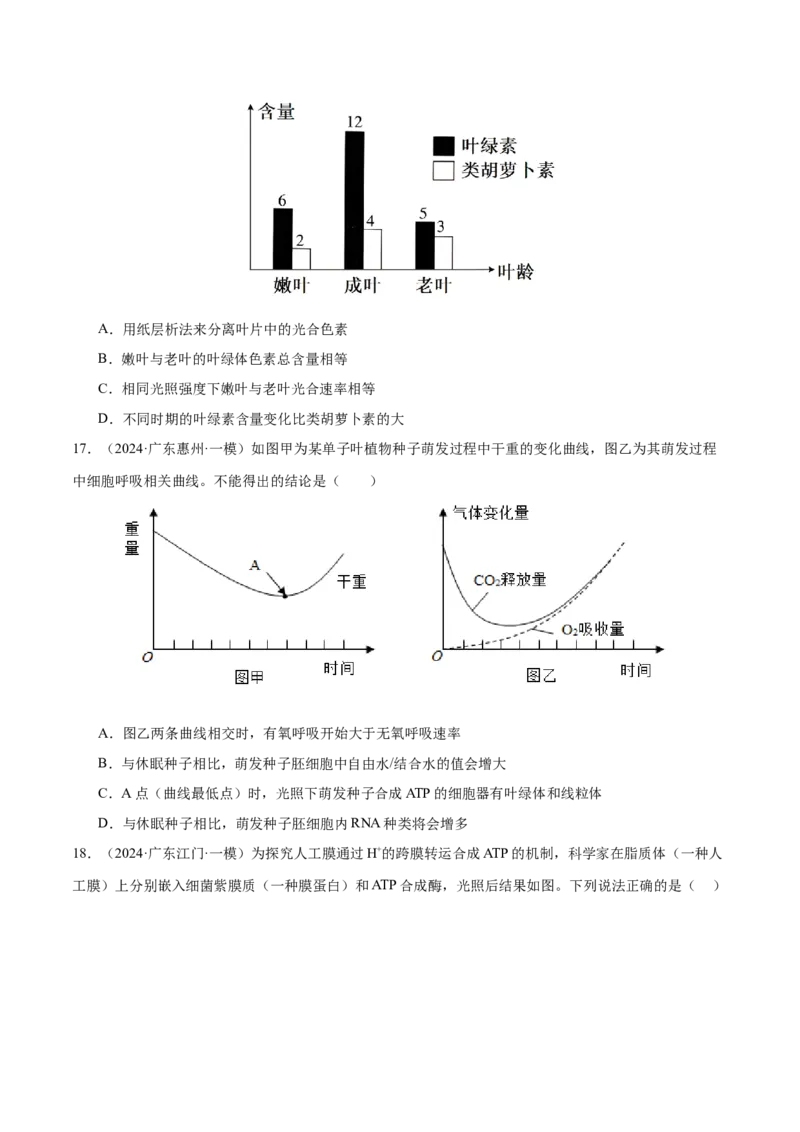 押广东卷选择题细胞的能量供应和生命历程（原卷版）_2024年新高考资料_5.2024三轮冲刺_备战2024年高考生物临考题号押题（广东专用）323137816
