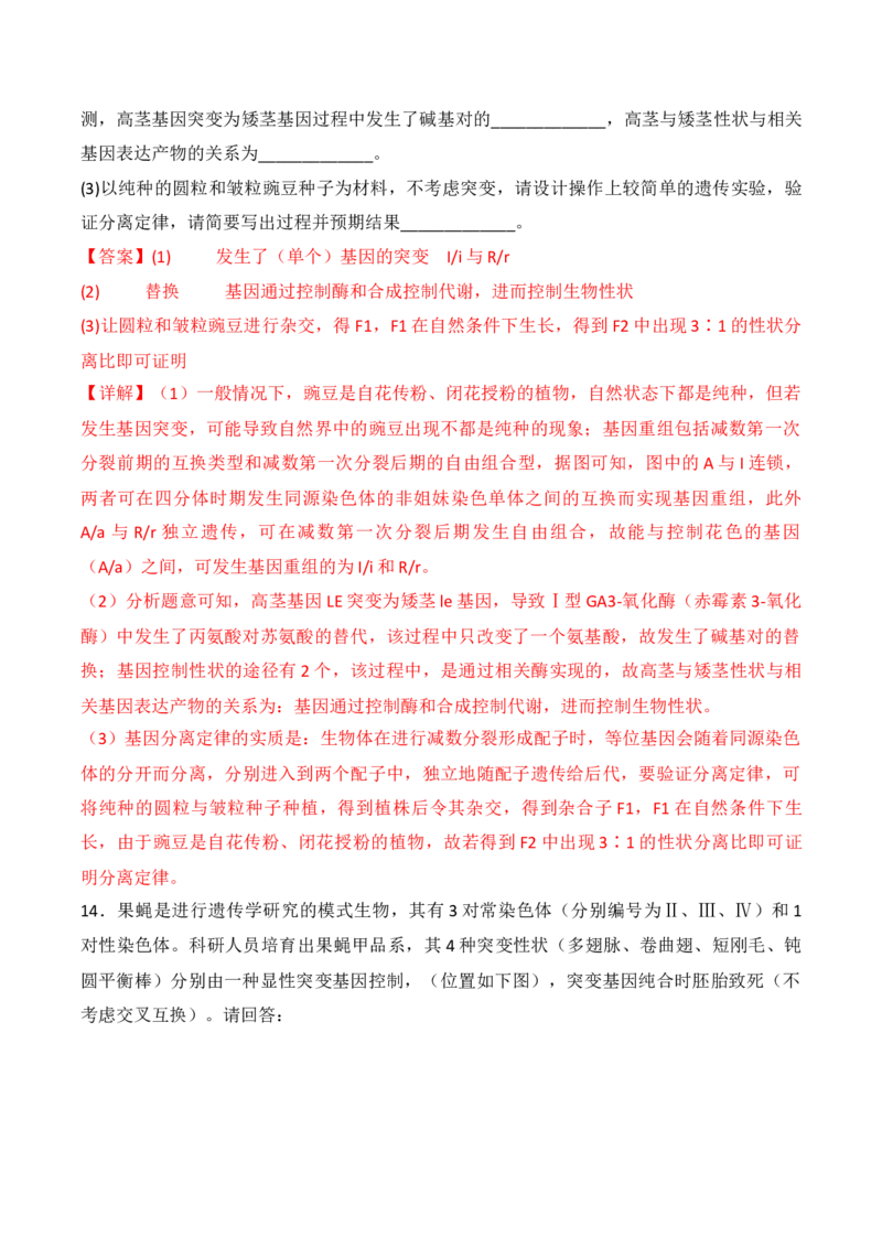 专题09生物的变异、进化与育种（解析版）_2024年新高考资料_3.2024专项复习_备战2024年高考生物一轮复习重难点突破讲解与训练（新教材）