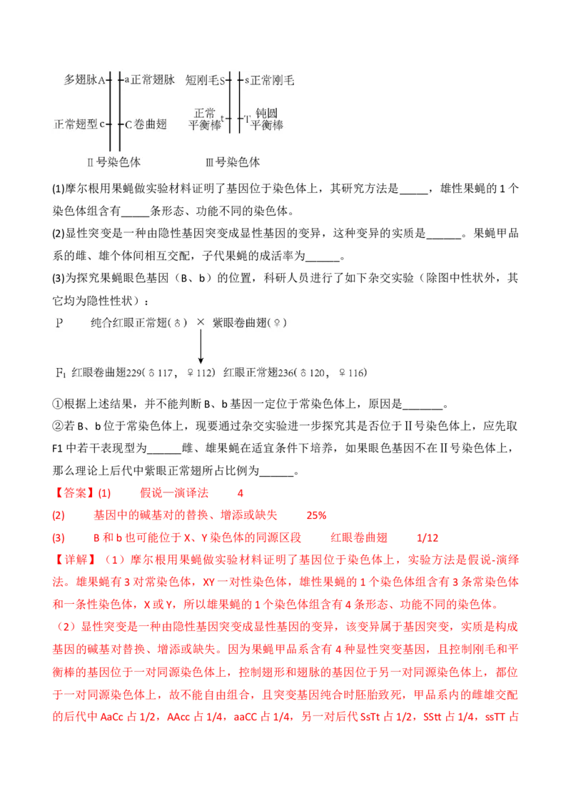专题09生物的变异、进化与育种（解析版）_2024年新高考资料_3.2024专项复习_备战2024年高考生物一轮复习重难点突破讲解与训练（新教材）