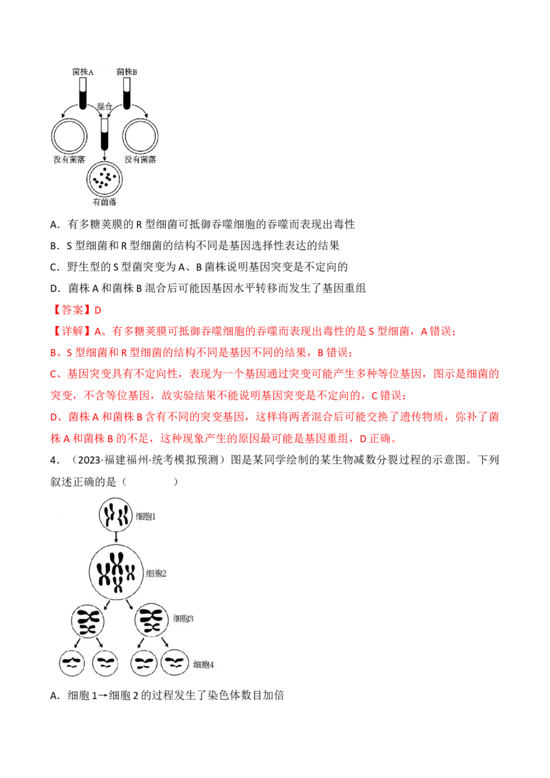 专题09生物的变异、进化与育种（解析版）_2024年新高考资料_3.2024专项复习_备战2024年高考生物一轮复习重难点突破讲解与训练（新教材）
