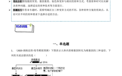 专题09生物的变异、进化与育种（解析版）_2024年新高考资料_3.2024专项复习_备战2024年高考生物一轮复习重难点突破讲解与训练（新教材）