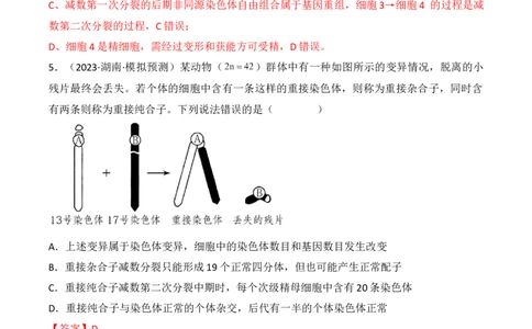 专题09生物的变异、进化与育种（解析版）_2024年新高考资料_3.2024专项复习_备战2024年高考生物一轮复习重难点突破讲解与训练（新教材）