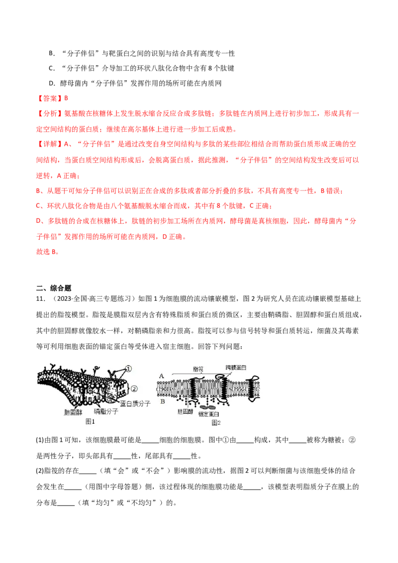 专题02细胞的结构和功能（解析版）_2024年新高考资料_3.2024专项复习_2024年高考生物热点&middot;重点&middot;难点专练（新高考专用）