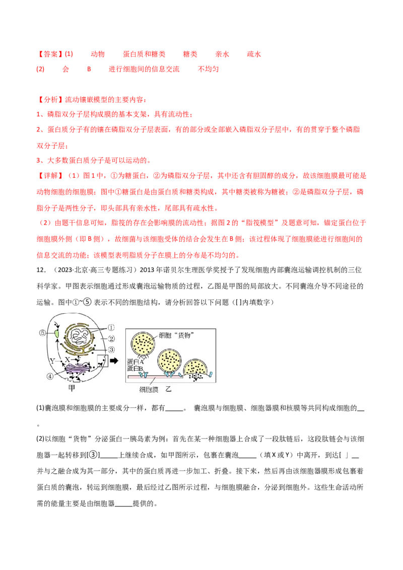 专题02细胞的结构和功能（解析版）_2024年新高考资料_3.2024专项复习_2024年高考生物热点&middot;重点&middot;难点专练（新高考专用）