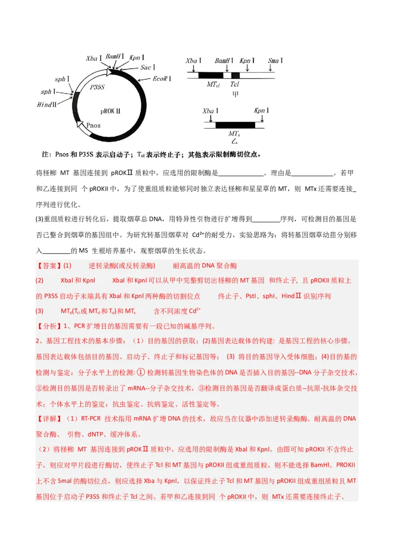 专题12细胞工程与基因工程（解析版）_2024年新高考资料_3.2024专项复习_2024年高考生物热点&middot;重点&middot;难点专练（新高考专用）