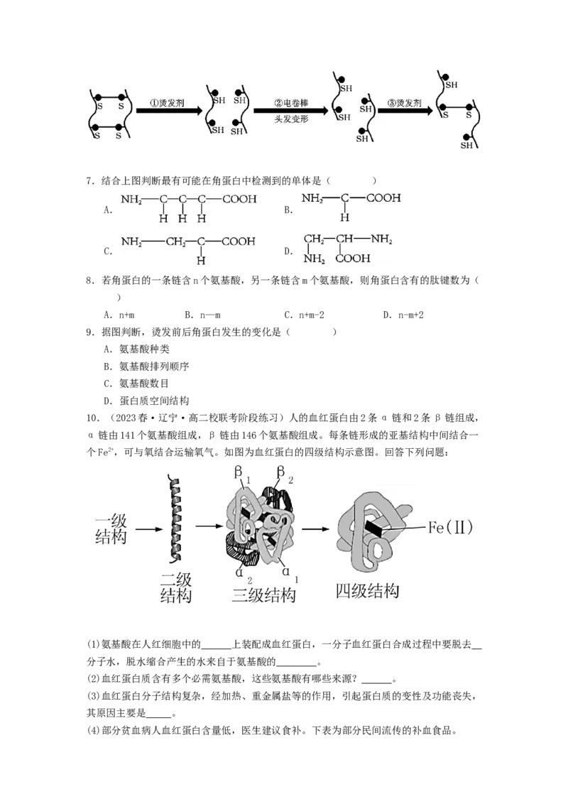 专题03蛋白质（原卷版）_2024年新高考资料_1.2024一轮复习_备战2024年高考生物一轮复习抢分特训（全国通用）_专题03蛋白质-备战2024年高考生物一轮复习抢分特训（全国通用）