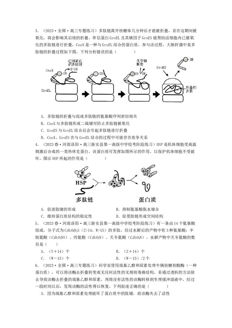 专题03蛋白质（原卷版）_2024年新高考资料_1.2024一轮复习_备战2024年高考生物一轮复习抢分特训（全国通用）_专题03蛋白质-备战2024年高考生物一轮复习抢分特训（全国通用）