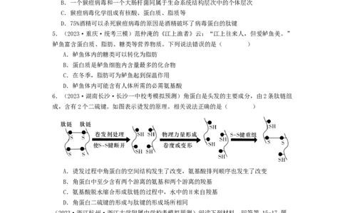 专题03蛋白质（原卷版）_2024年新高考资料_1.2024一轮复习_备战2024年高考生物一轮复习抢分特训（全国通用）_专题03蛋白质-备战2024年高考生物一轮复习抢分特训（全国通用）