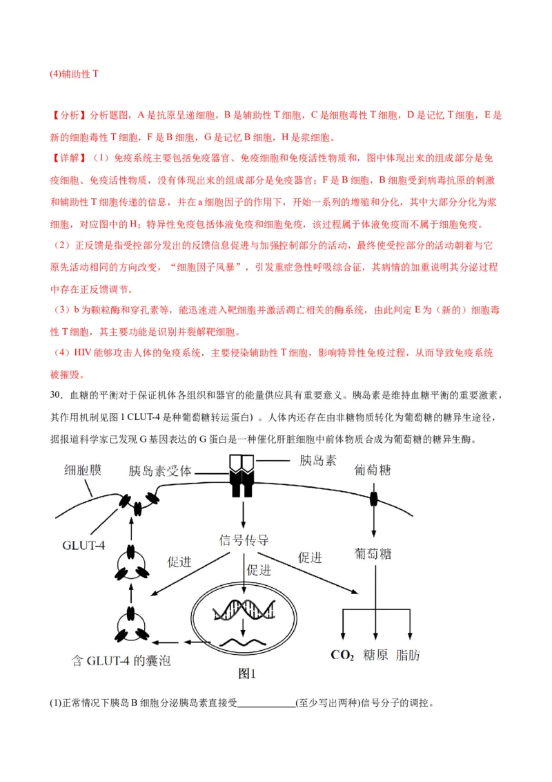 专题30免疫失调和免疫学的应用（解析版)_2024年新高考资料_3.2024专项复习_备战2024年高考生物一轮复习重难点专项突破