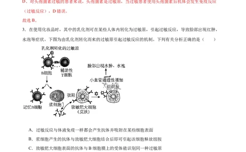 专题30免疫失调和免疫学的应用（解析版)_2024年新高考资料_3.2024专项复习_备战2024年高考生物一轮复习重难点专项突破