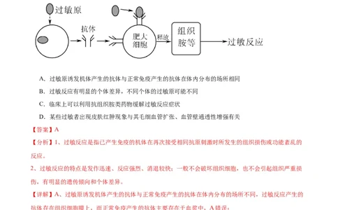 专题30免疫失调和免疫学的应用（解析版)_2024年新高考资料_3.2024专项复习_备战2024年高考生物一轮复习重难点专项突破