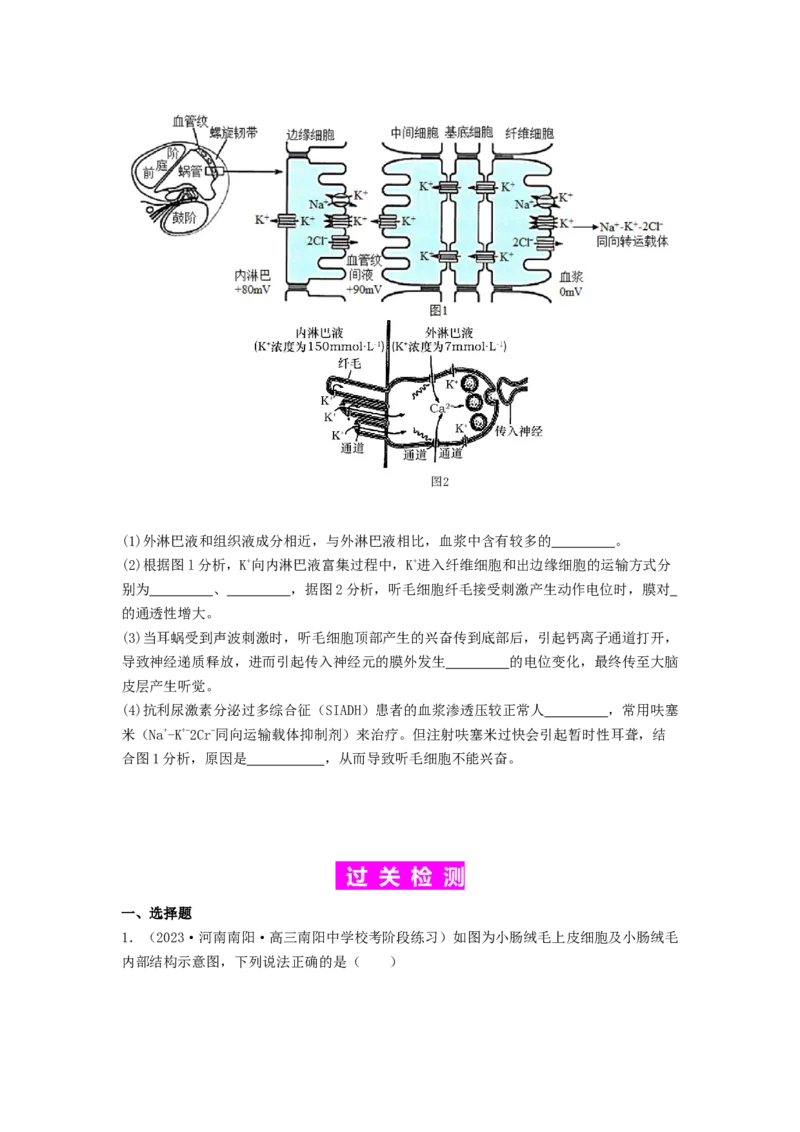 专题16内环境稳态和神经调节（原卷版）_2024年新高考资料_1.2024一轮复习_备战2024年高考生物一轮复习抢分特训（全国通用）