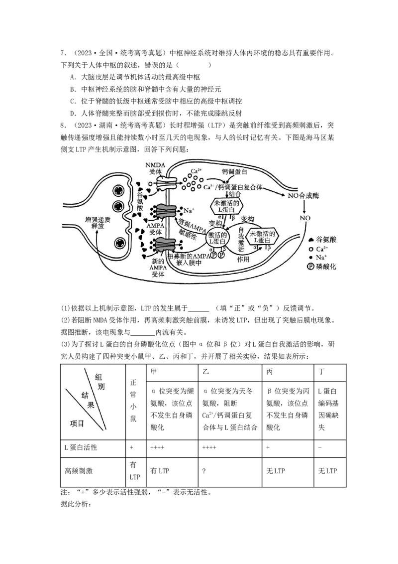专题16内环境稳态和神经调节（原卷版）_2024年新高考资料_1.2024一轮复习_备战2024年高考生物一轮复习抢分特训（全国通用）