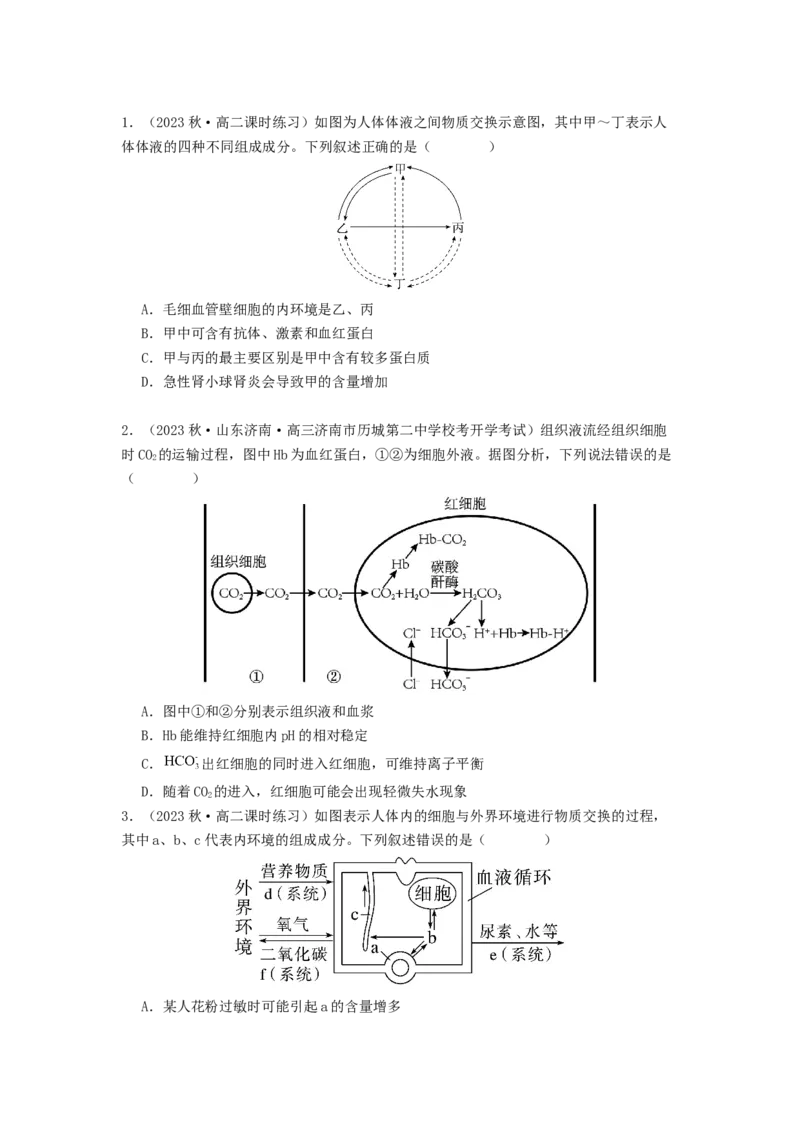 专题16内环境稳态和神经调节（原卷版）_2024年新高考资料_1.2024一轮复习_备战2024年高考生物一轮复习抢分特训（全国通用）