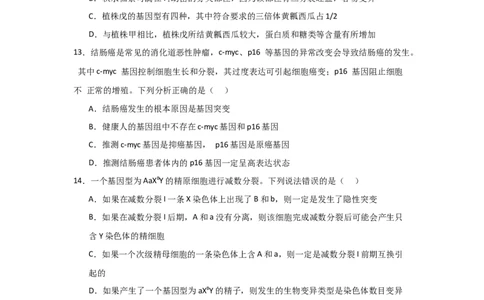 单元检测卷07变异与进化（原卷版）_2024年新高考资料_1.2024一轮复习_2024年高考生物一轮复习考点通关卷（新高考通用）