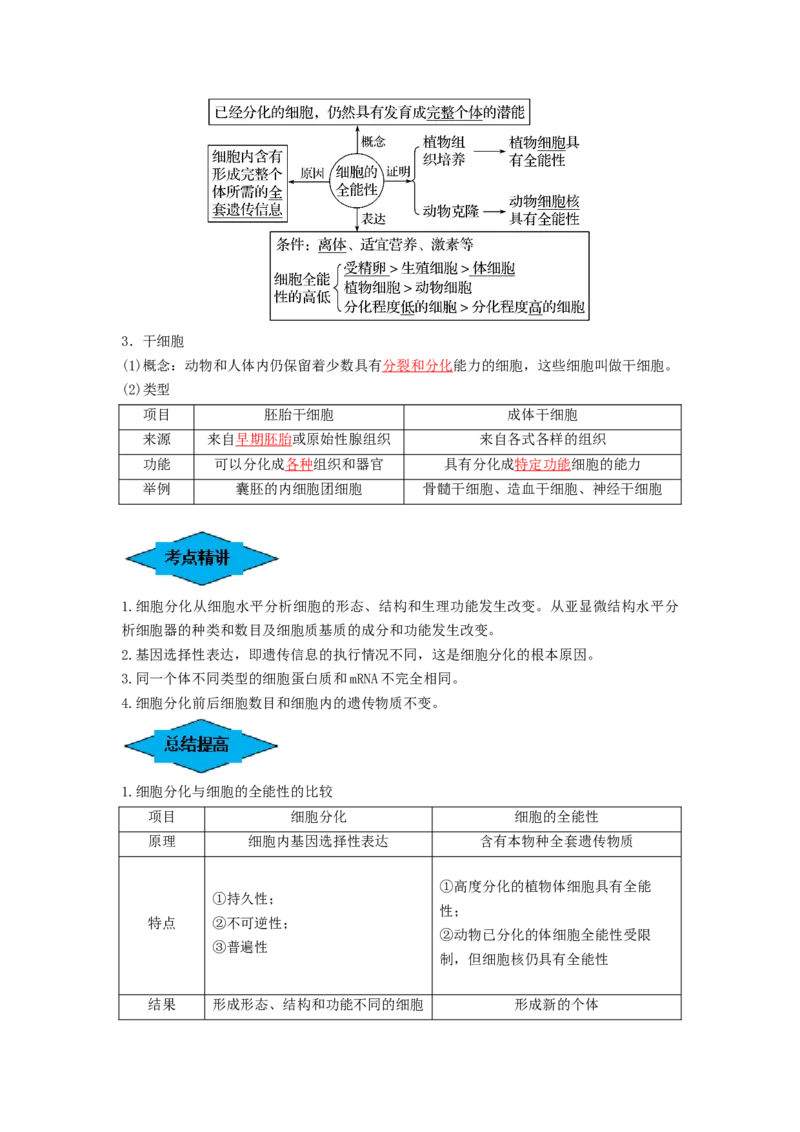 专题13细胞的分化、衰老和死亡（串讲）（解析版）_2024年新高考资料_1.2024一轮复习_备战2024年高考生物一轮复习串讲精练（新高考专用）