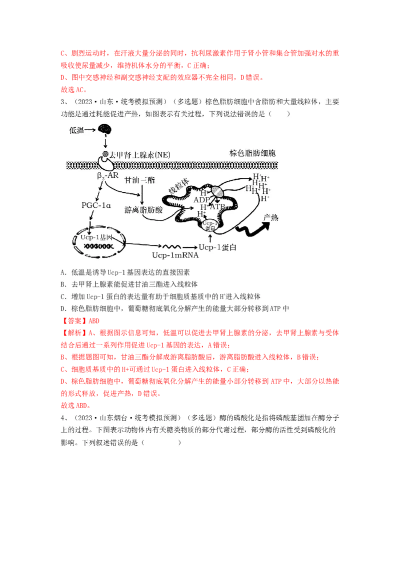 专题25体液调节（精练）（解析版）_2024年新高考资料_1.2024一轮复习_备战2024年高考生物一轮复习串讲精练（新高考专用）