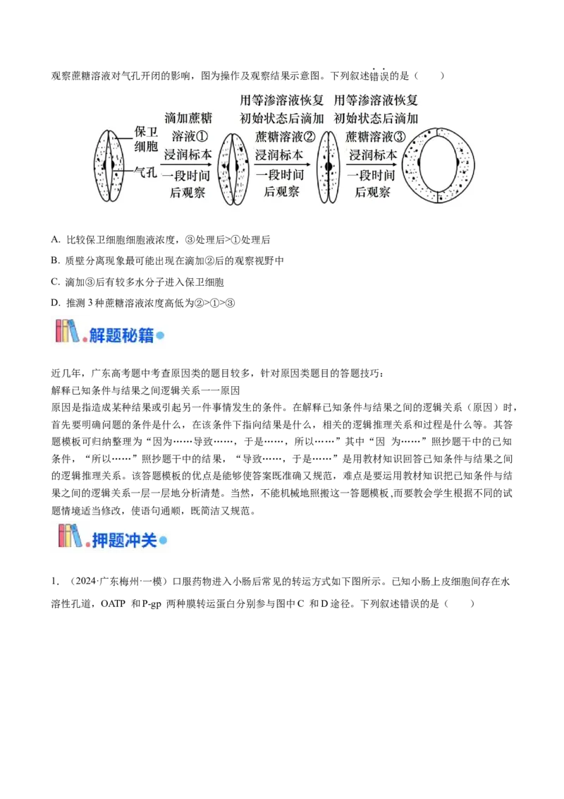 押广东卷选择题第13题分子与细胞模块（原卷版）_2024年新高考资料_5.2024三轮冲刺_备战2024年高考生物临考题号押题（广东专用）323137816