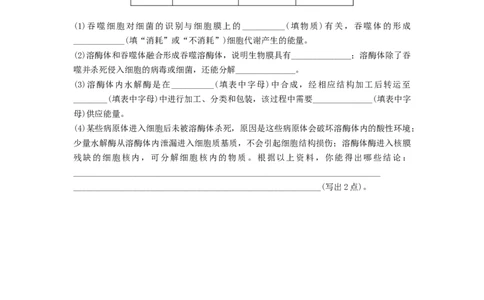 专题05细胞器和生物膜系统（精练）（原卷版）_2024年新高考资料_1.2024一轮复习_备战2024年高考生物一轮复习串讲精练（新高考专用）