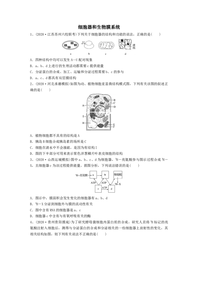 专题05细胞器和生物膜系统（精练）（原卷版）_2024年新高考资料_1.2024一轮复习_备战2024年高考生物一轮复习串讲精练（新高考专用）
