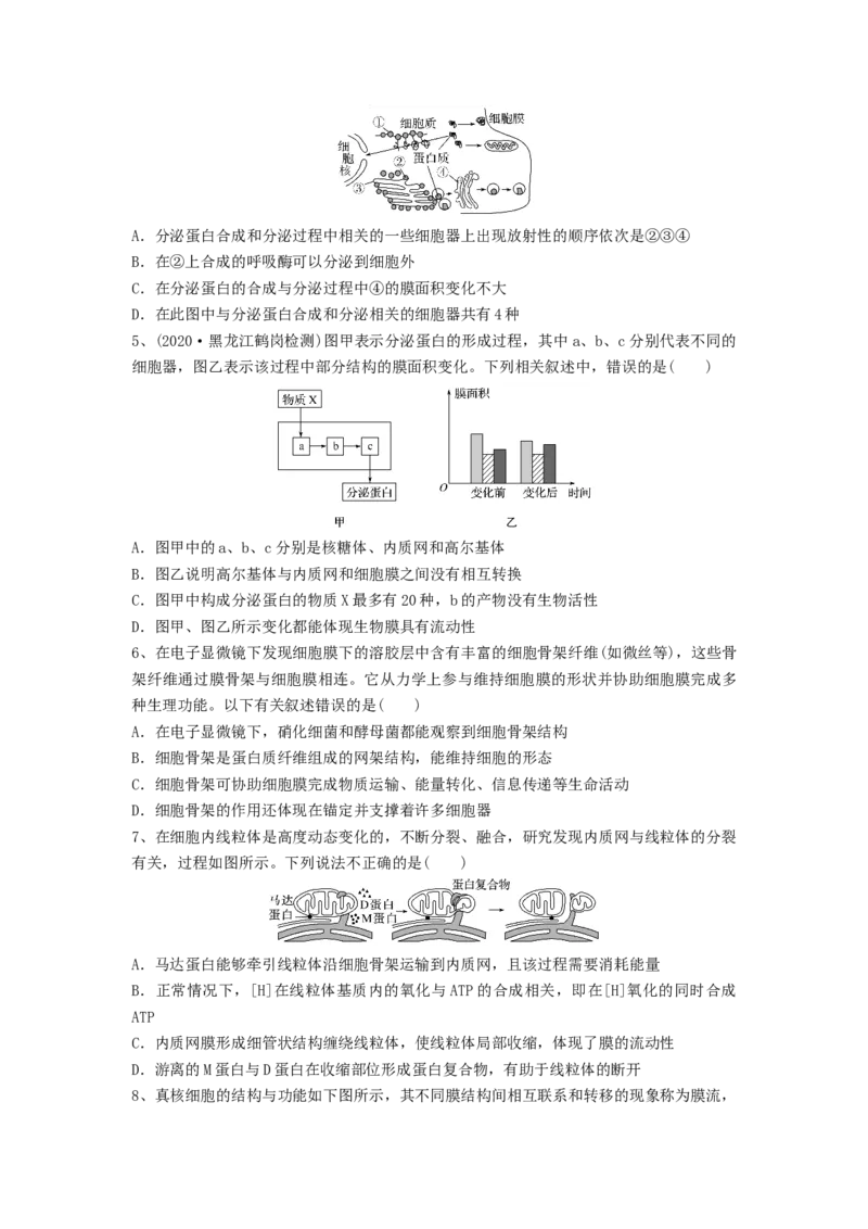 专题05细胞器和生物膜系统（精练）（原卷版）_2024年新高考资料_1.2024一轮复习_备战2024年高考生物一轮复习串讲精练（新高考专用）