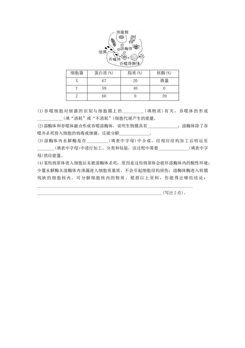 专题05细胞器和生物膜系统（精练）（原卷版）_2024年新高考资料_1.2024一轮复习_备战2024年高考生物一轮复习串讲精练（新高考专用）