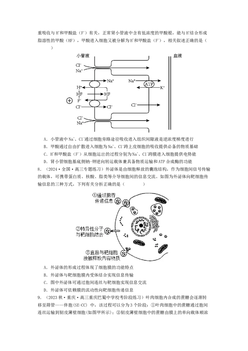 专题07物质的运输（原卷版）_2024年新高考资料_1.2024一轮复习_备战2024年高考生物一轮复习抢分特训（全国通用）_专题07+物质的运输-备战2024年高考生物一轮复习抢分特训（全国通用）