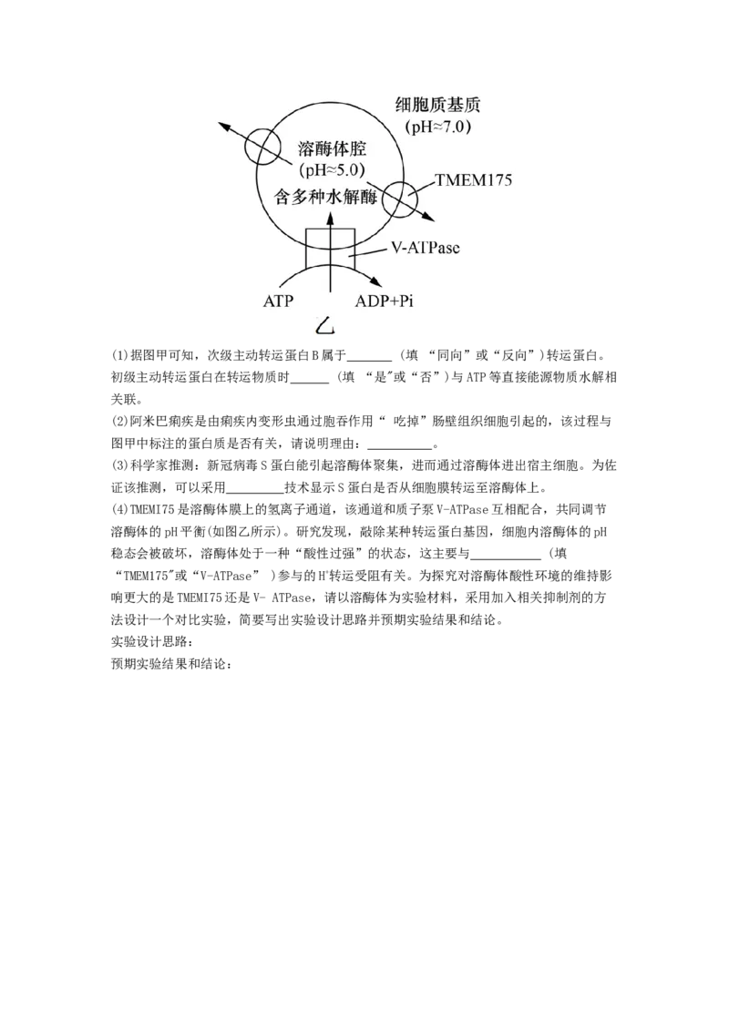 专题07物质的运输（原卷版）_2024年新高考资料_1.2024一轮复习_备战2024年高考生物一轮复习抢分特训（全国通用）_专题07+物质的运输-备战2024年高考生物一轮复习抢分特训（全国通用）