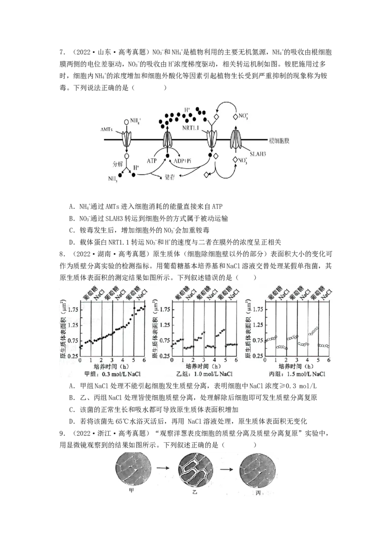 专题07物质的运输（原卷版）_2024年新高考资料_1.2024一轮复习_备战2024年高考生物一轮复习抢分特训（全国通用）_专题07+物质的运输-备战2024年高考生物一轮复习抢分特训（全国通用）