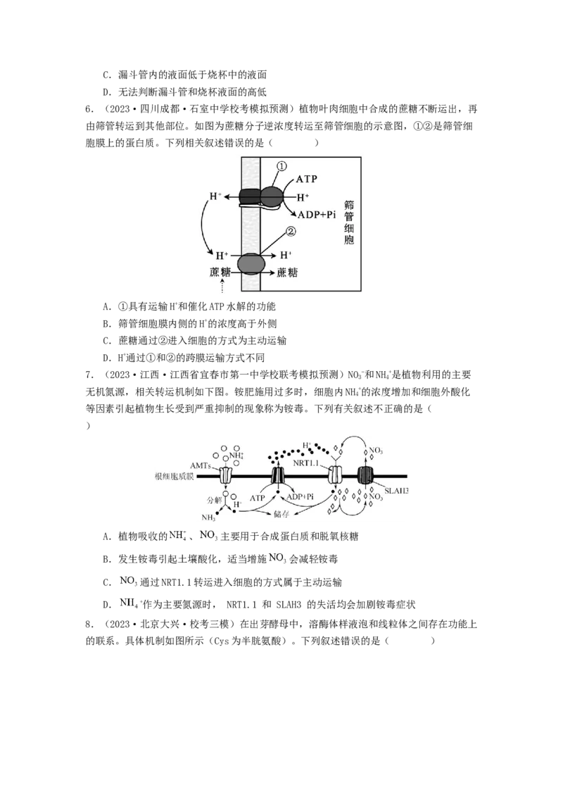 专题07物质的运输（原卷版）_2024年新高考资料_1.2024一轮复习_备战2024年高考生物一轮复习抢分特训（全国通用）_专题07+物质的运输-备战2024年高考生物一轮复习抢分特训（全国通用）