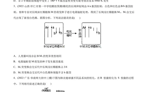 专题08生物的变异和进化-2022年高考真题和模拟题生物分专题训练（学生版）_2024年新高考资料_1.2024一轮复习_赠2022年高考生物真题与模拟题分类
