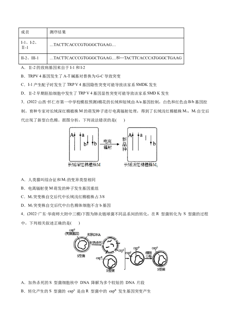 专题08生物的变异和进化-2022年高考真题和模拟题生物分专题训练（学生版）_2024年新高考资料_1.2024一轮复习_赠2022年高考生物真题与模拟题分类