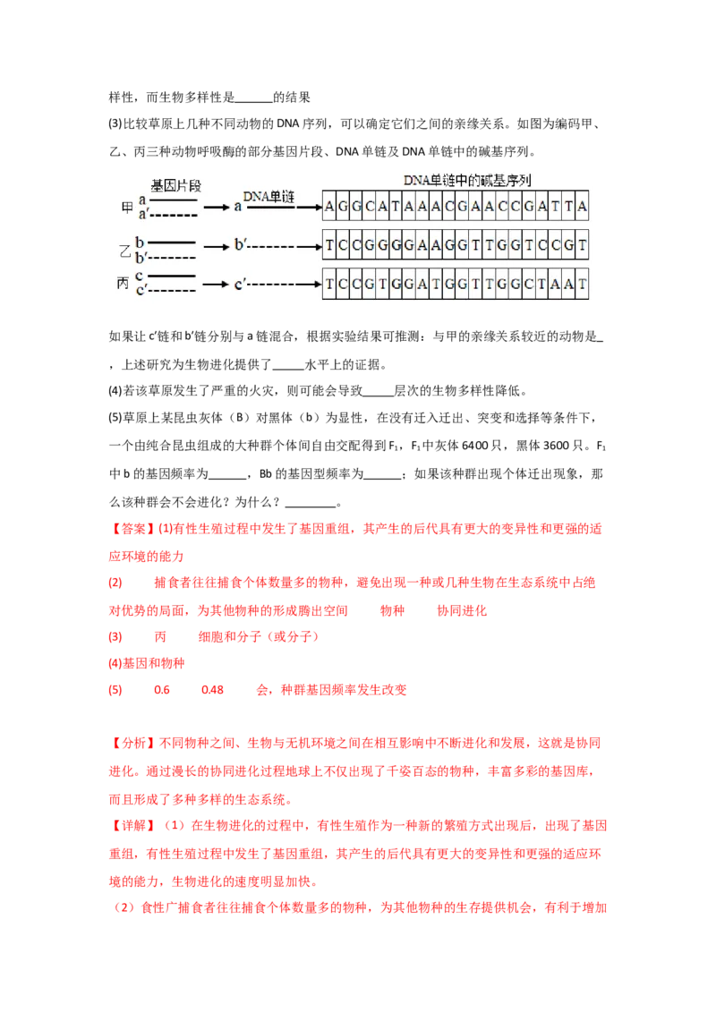 单元检测卷07变异与进化（解析版）_2024年新高考资料_1.2024一轮复习_2024年高考生物一轮复习考点通关卷（新高考通用）