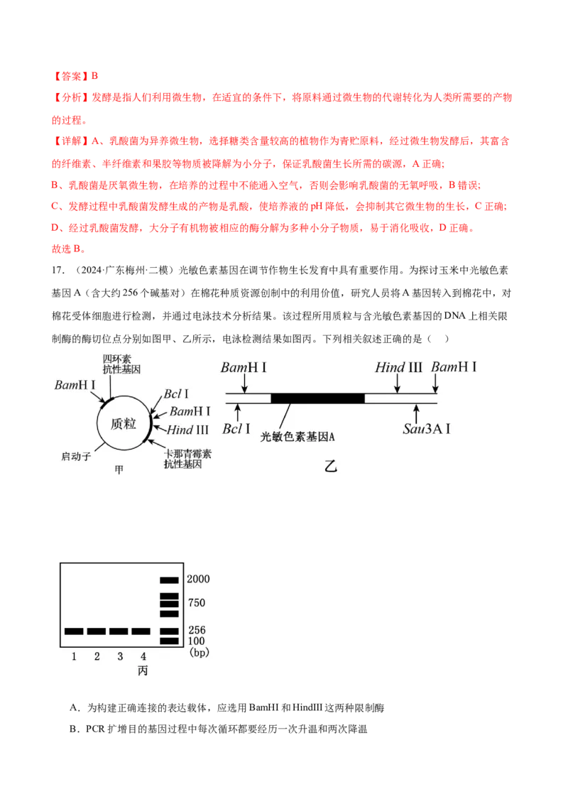 押广东卷选择题生物技术与工程（解析版）_2024年新高考资料_5.2024三轮冲刺_备战2024年高考生物临考题号押题（广东专用）323137816