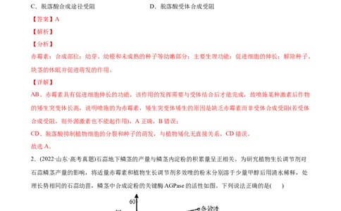 专题10植物生命活动的调节-2022年高考真题和模拟题生物分专题训练（教师版含解析）_2024年新高考资料_1.2024一轮复习_赠2022年高考生物真题与模拟题分类