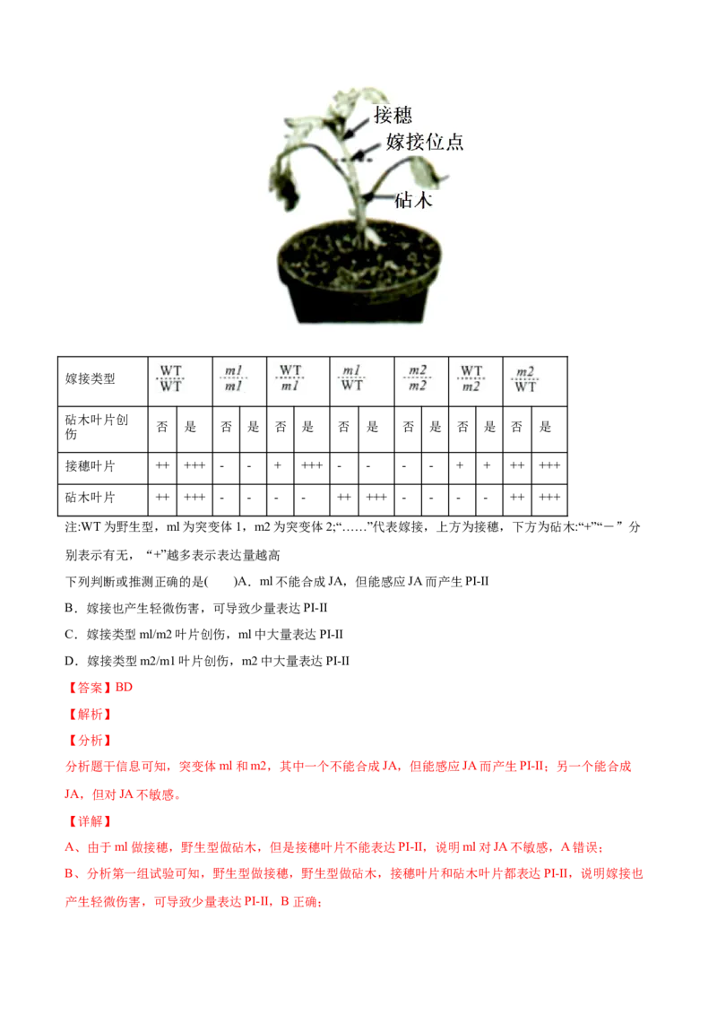 专题10植物生命活动的调节-2022年高考真题和模拟题生物分专题训练（教师版含解析）_2024年新高考资料_1.2024一轮复习_赠2022年高考生物真题与模拟题分类