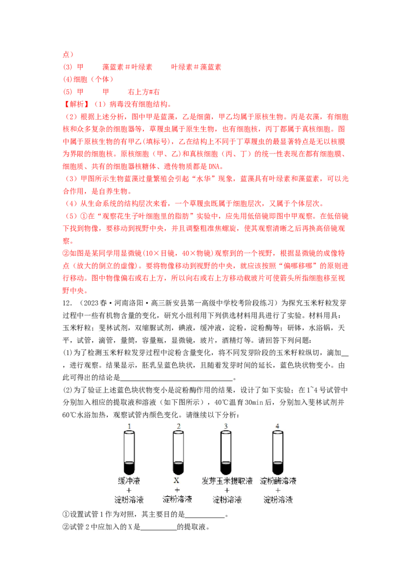 专题01细胞中的元素和无机物（解析版）_2024年新高考资料_1.2024一轮复习_备战2024年高考生物一轮复习抢分特训（全国通用）
