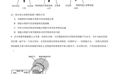 2024年高考冲刺模拟试卷（二）（解析版）_2024年新高考资料_5.2024三轮冲刺_2024年高考生物考前最后冲刺
