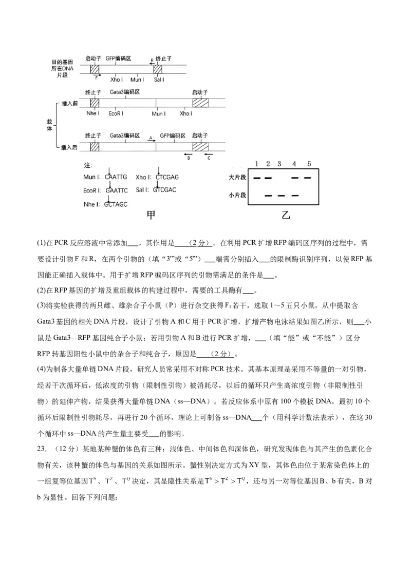 2024年高考冲刺模拟试卷（二）（解析版）_2024年新高考资料_5.2024三轮冲刺_2024年高考生物考前最后冲刺