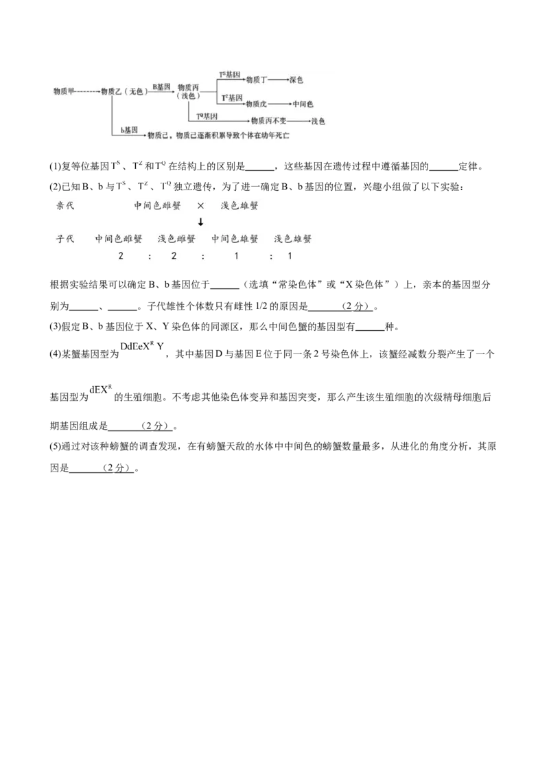 2024年高考冲刺模拟试卷（二）（解析版）_2024年新高考资料_5.2024三轮冲刺_2024年高考生物考前最后冲刺