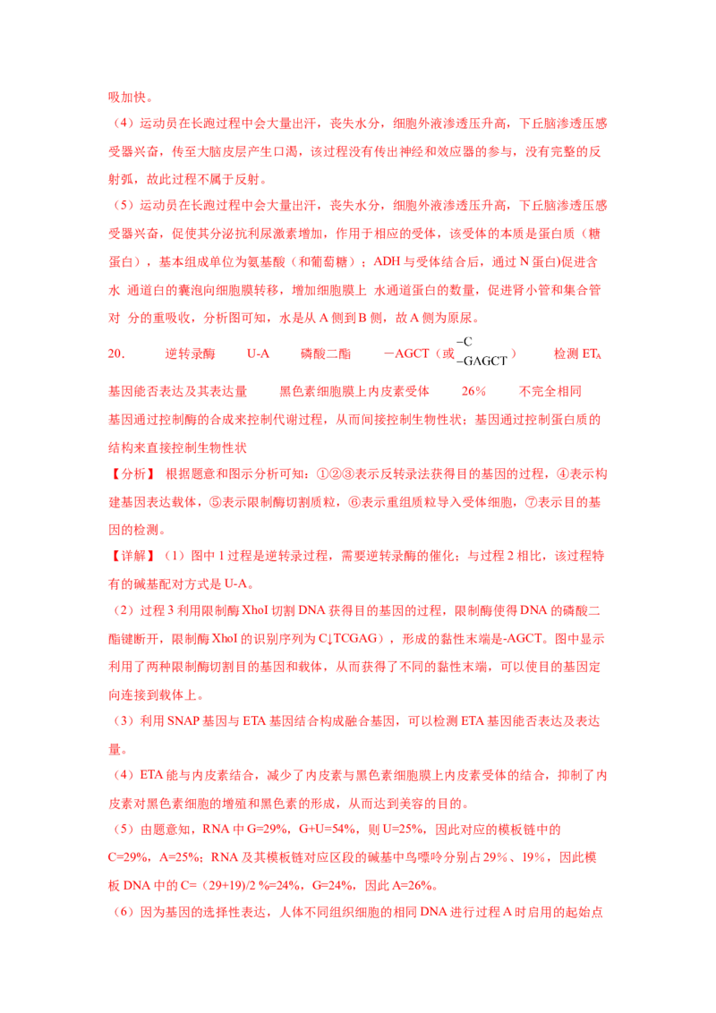 2024年高考冲刺模拟试卷（二）（解析版）_2024年新高考资料_5.2024三轮冲刺_2024年高考生物考前最后冲刺