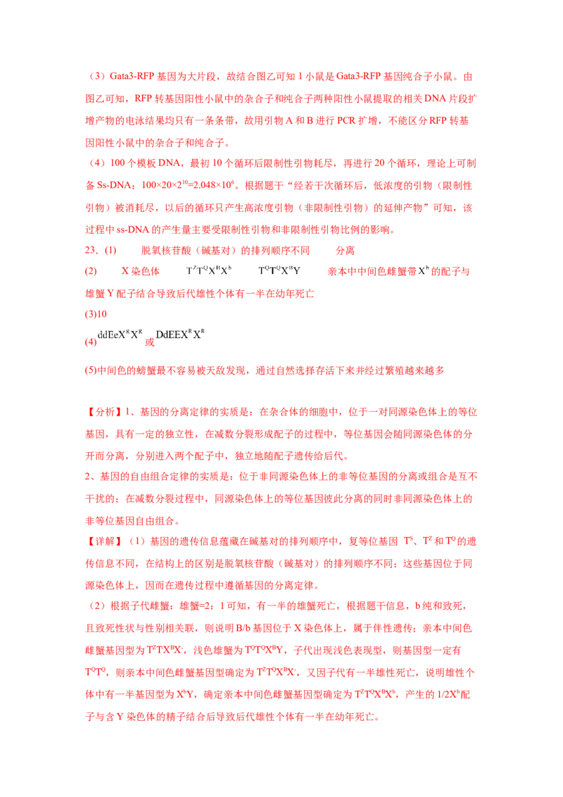 2024年高考冲刺模拟试卷（二）（解析版）_2024年新高考资料_5.2024三轮冲刺_2024年高考生物考前最后冲刺