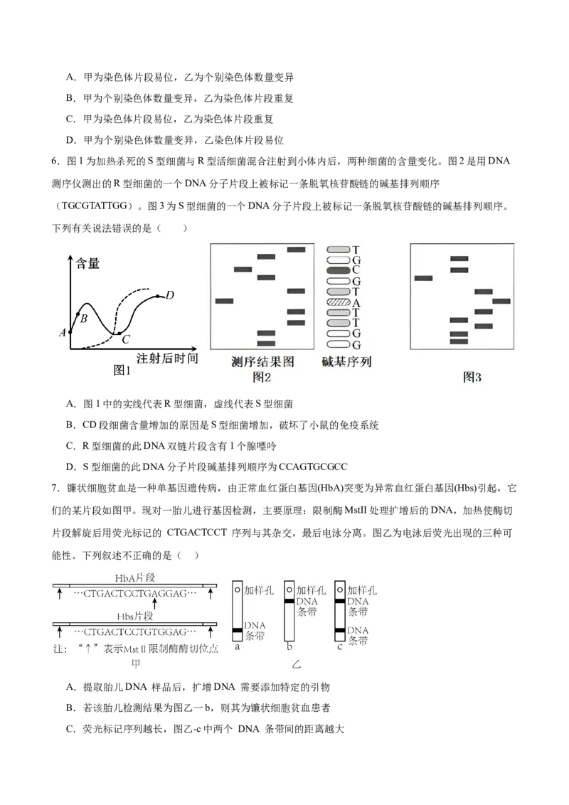 2024年高考冲刺模拟试卷（二）（解析版）_2024年新高考资料_5.2024三轮冲刺_2024年高考生物考前最后冲刺