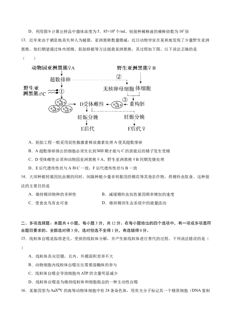 2024年高考冲刺模拟试卷（二）（解析版）_2024年新高考资料_5.2024三轮冲刺_2024年高考生物考前最后冲刺