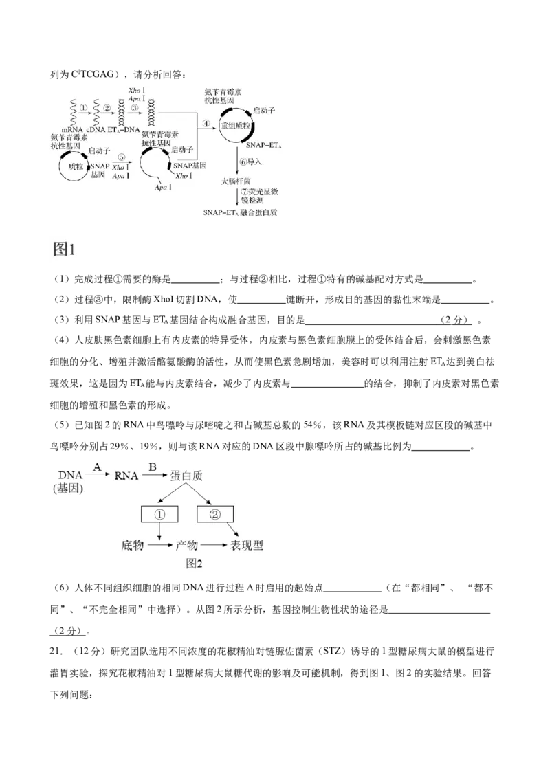 2024年高考冲刺模拟试卷（二）（解析版）_2024年新高考资料_5.2024三轮冲刺_2024年高考生物考前最后冲刺