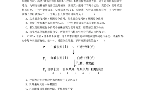 专题12遗传规律（原卷版）_2024年新高考资料_1.2024一轮复习_备战2024年高考生物一轮复习抢分特训（全国通用）_专题12+遗传规律-备战2024年高考生物一轮复习抢分特训（全国通用）