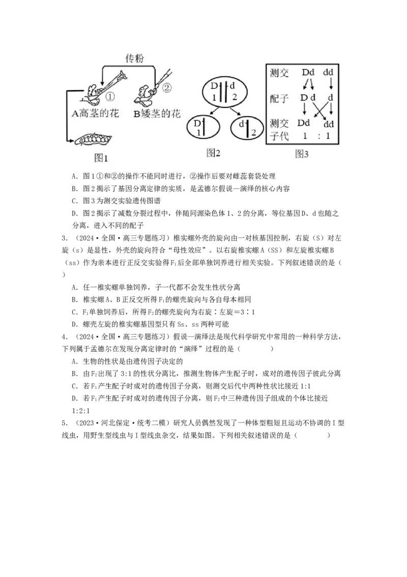 专题12遗传规律（原卷版）_2024年新高考资料_1.2024一轮复习_备战2024年高考生物一轮复习抢分特训（全国通用）_专题12+遗传规律-备战2024年高考生物一轮复习抢分特训（全国通用）